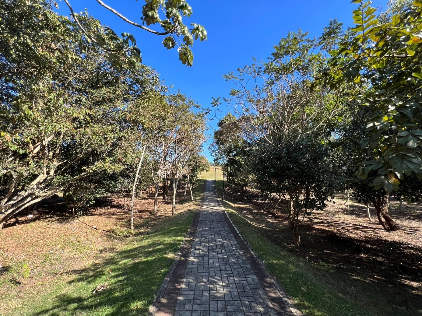 Terreno, 968 m² - Foto 19