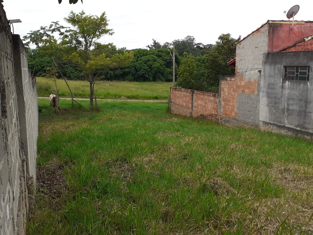 Terreno, 250 m² - Foto 2