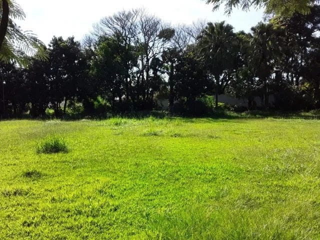 Terreno, 4000 m² - Foto 3