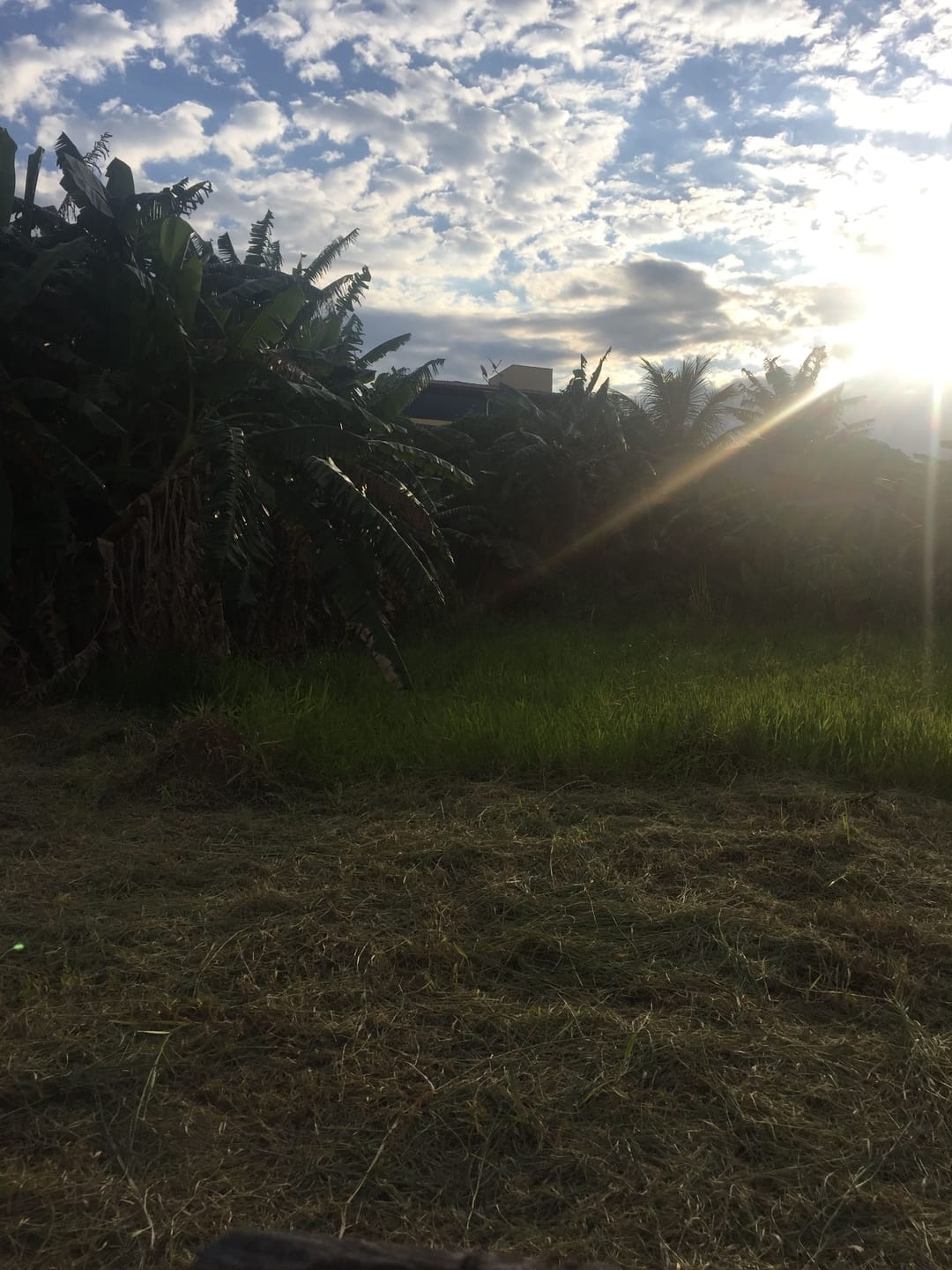 Terreno, 828 m² - Foto 6