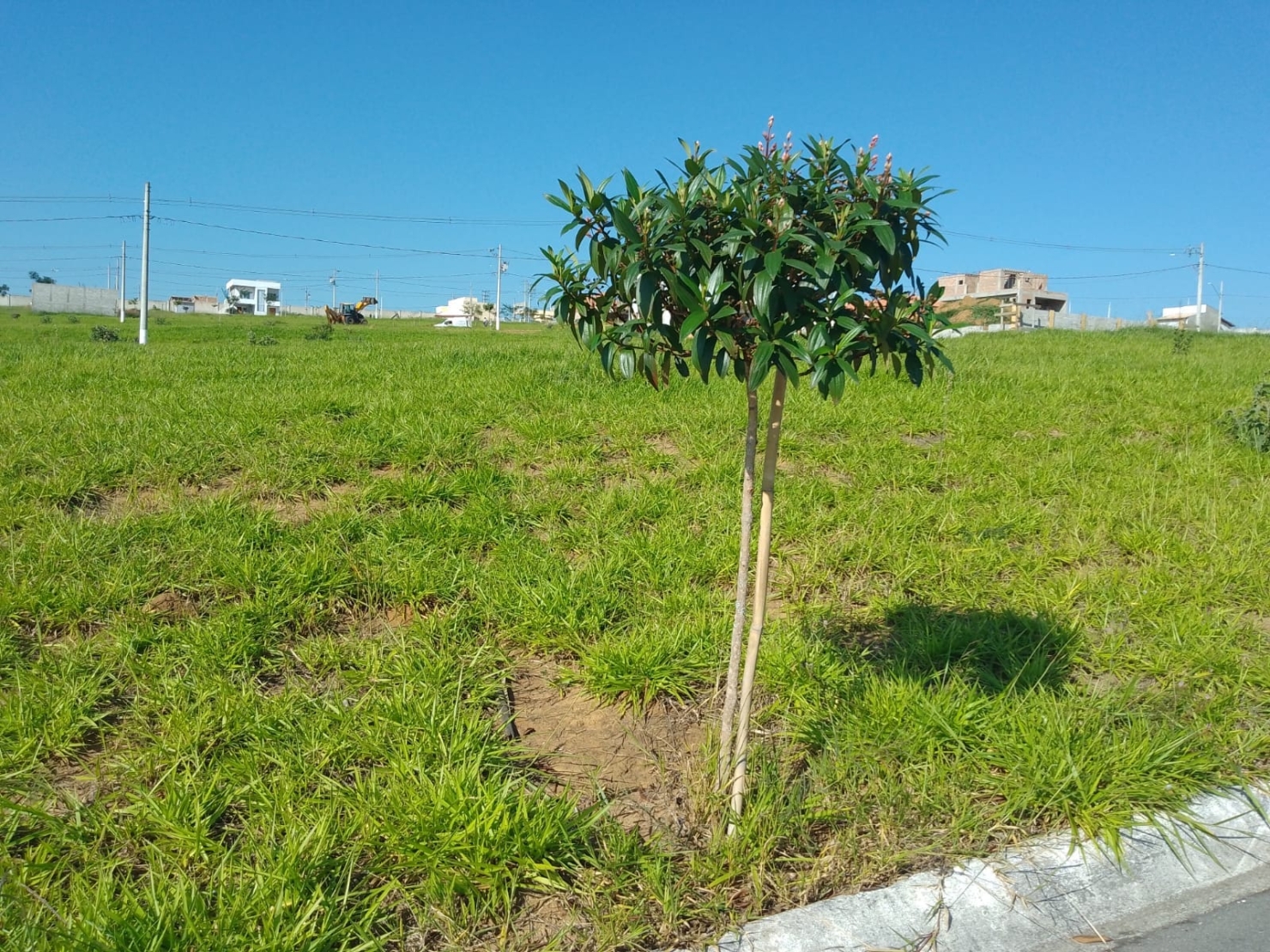 Terreno, 250 m² - Foto 4