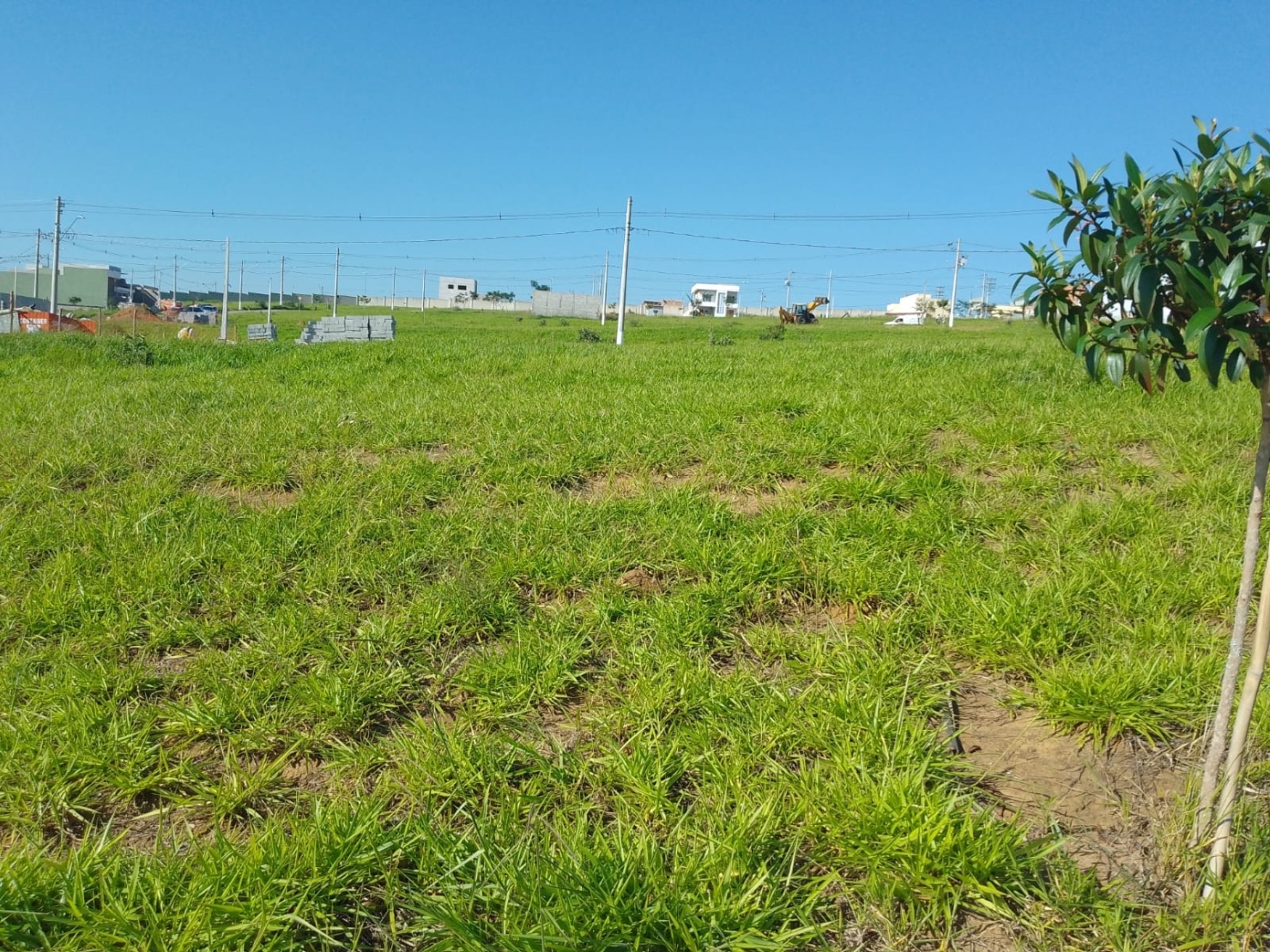 Terreno, 250 m² - Foto 5