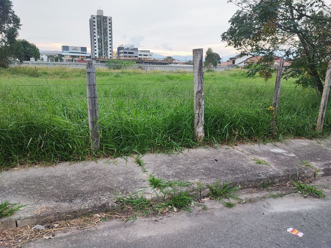 Terreno, 300 m² - Foto 4