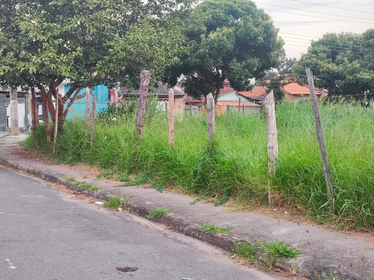 Terreno, 300 m² - Foto 6