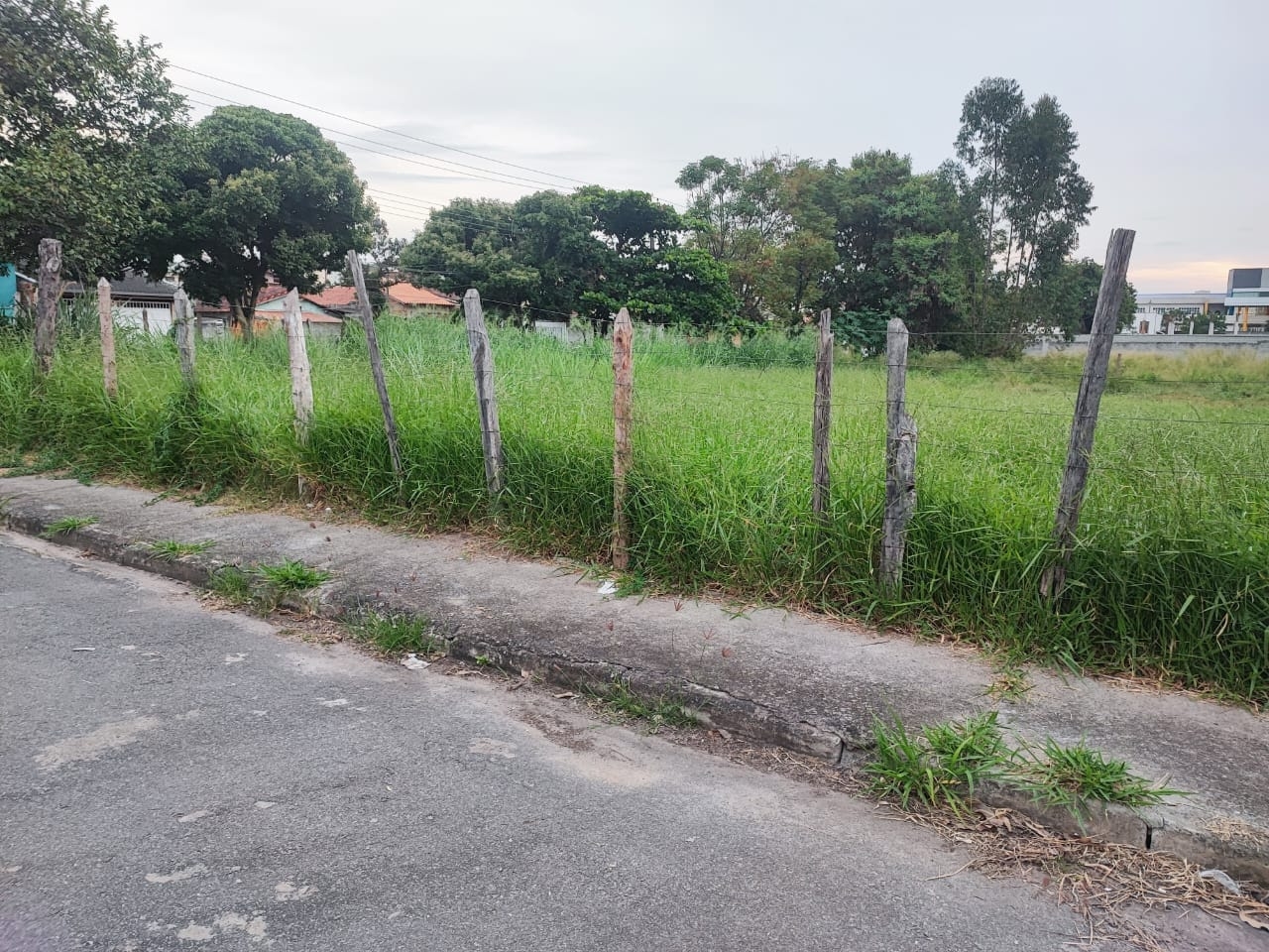 Terreno, 300 m² - Foto 7