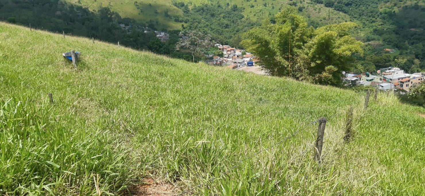 Terreno, 250 m² - Foto 1