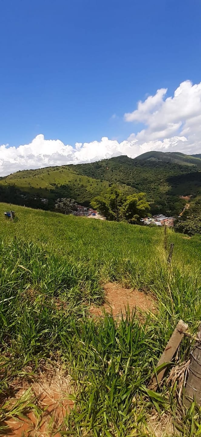 Terreno, 250 m² - Foto 2