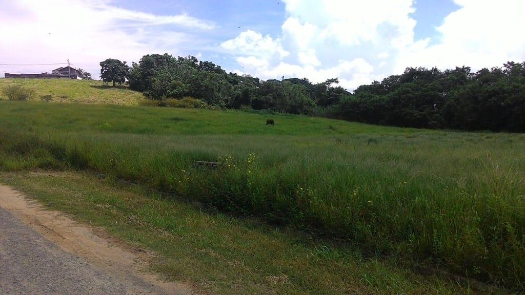 Terreno, 296 m² - Foto 1