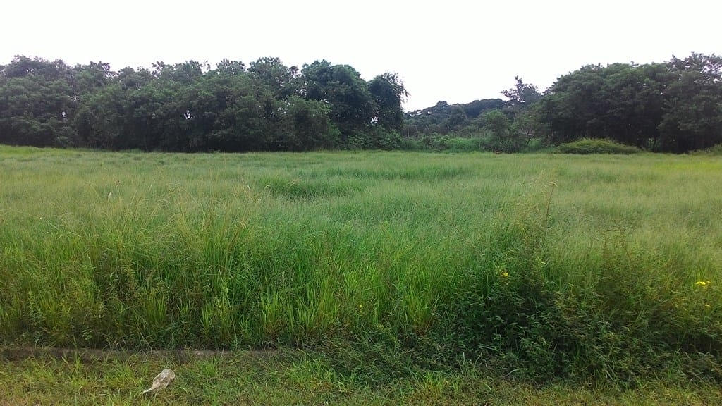 Terreno, 296 m² - Foto 3