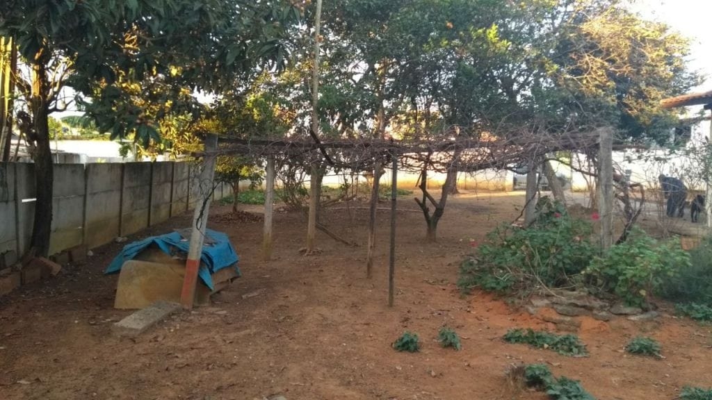 Terreno, 300 m² - Foto 3