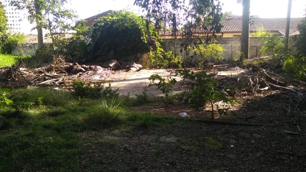 Terreno, 3200 m² - Foto 2