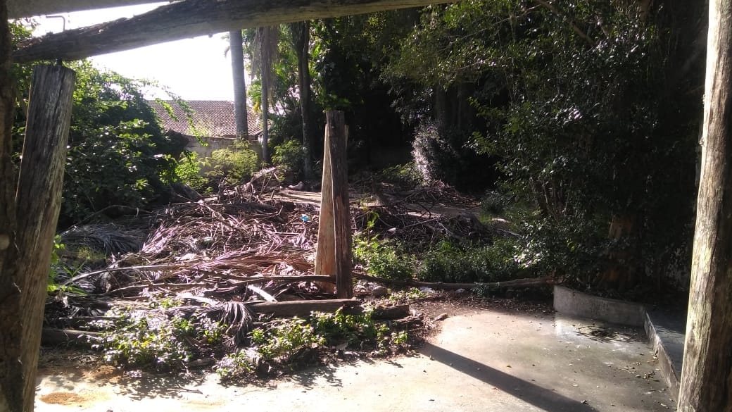 Terreno, 3200 m² - Foto 5