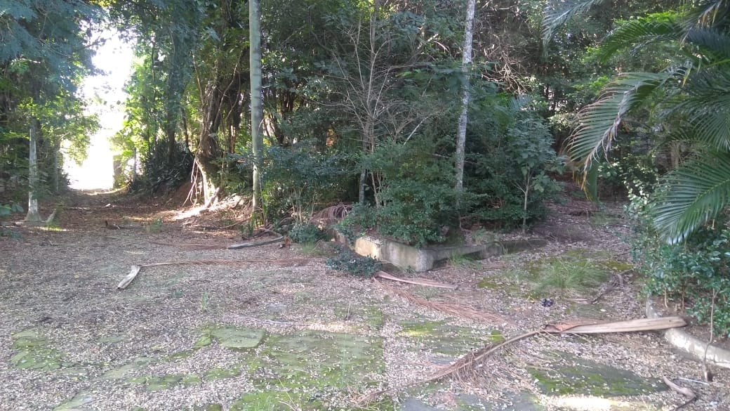 Terreno, 3200 m² - Foto 6