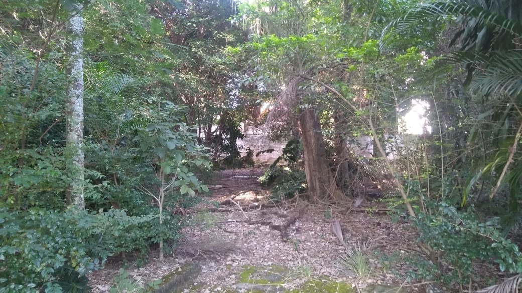 Terreno, 3200 m² - Foto 7