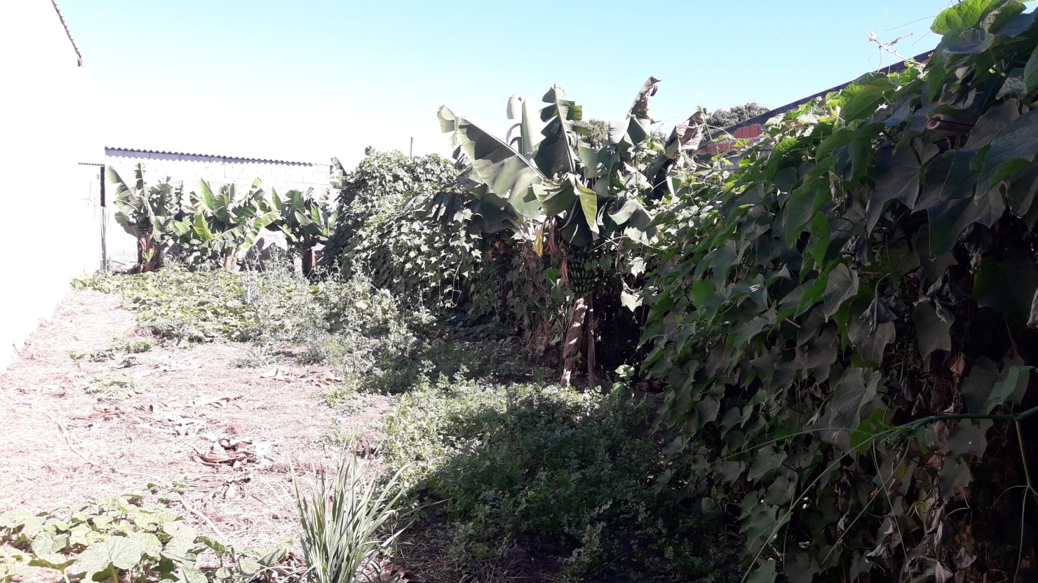 Terreno, 300 m² - Foto 1