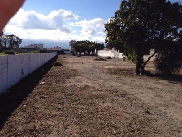 Terreno à venda, 5000m² - Foto 5