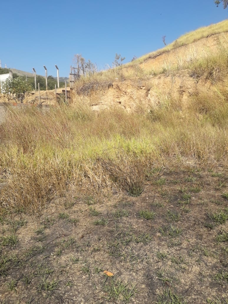 Terreno, 250 m² - Foto 1