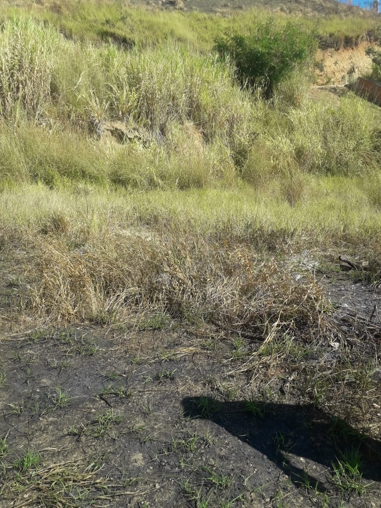 Terreno, 250 m² - Foto 2