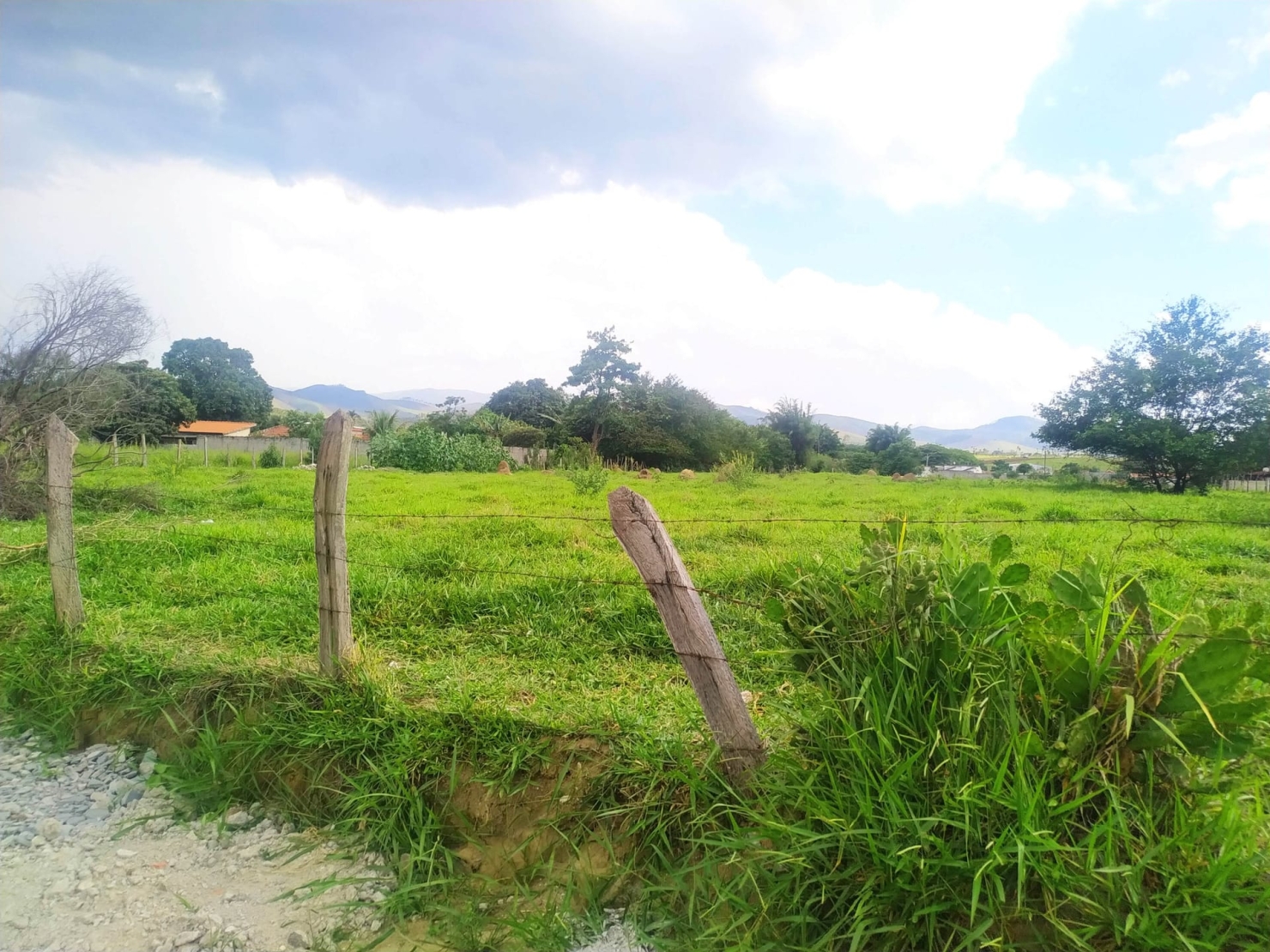 Terreno à venda, 16400m² - Foto 1