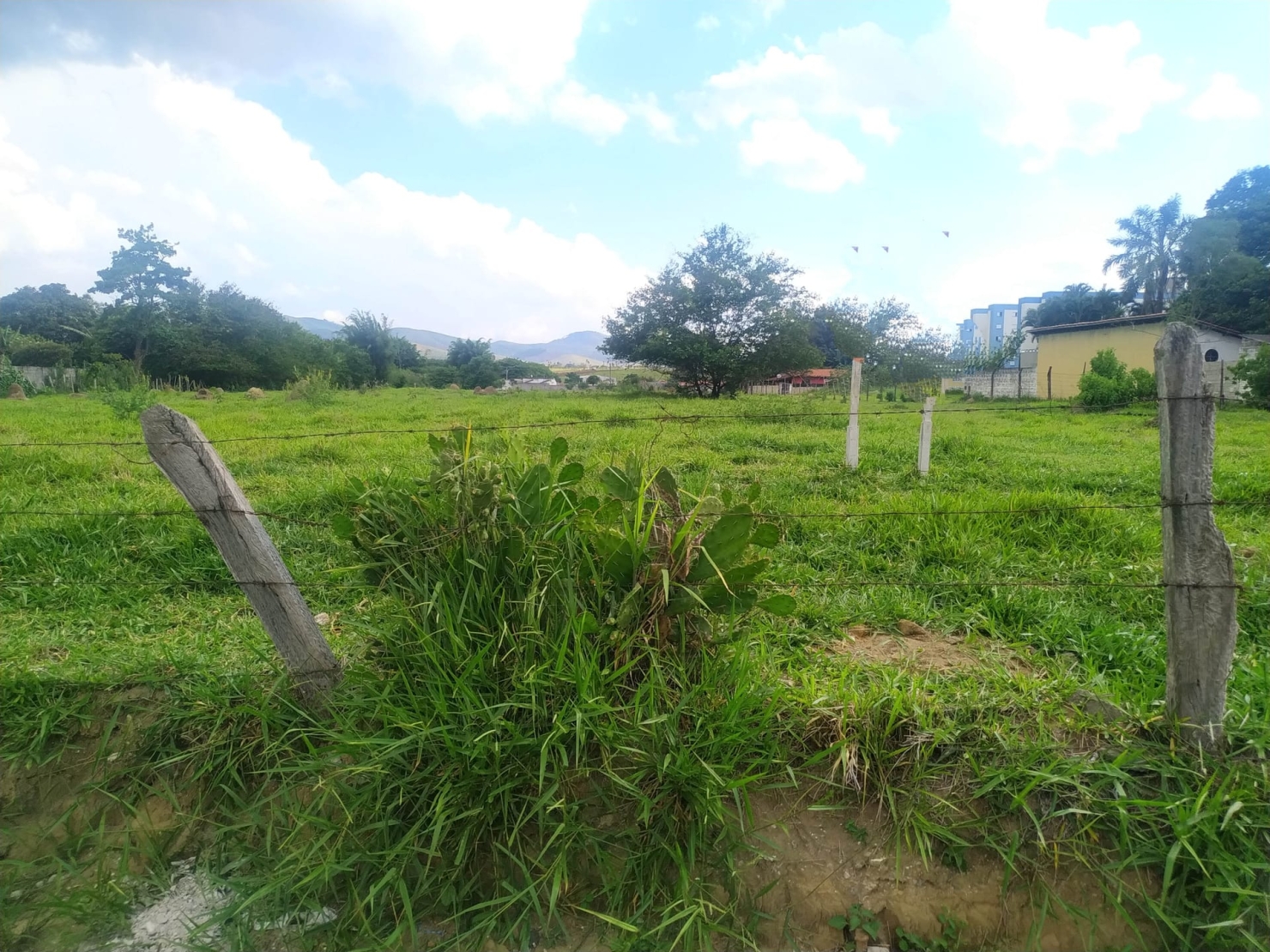 Terreno à venda, 16400m² - Foto 3