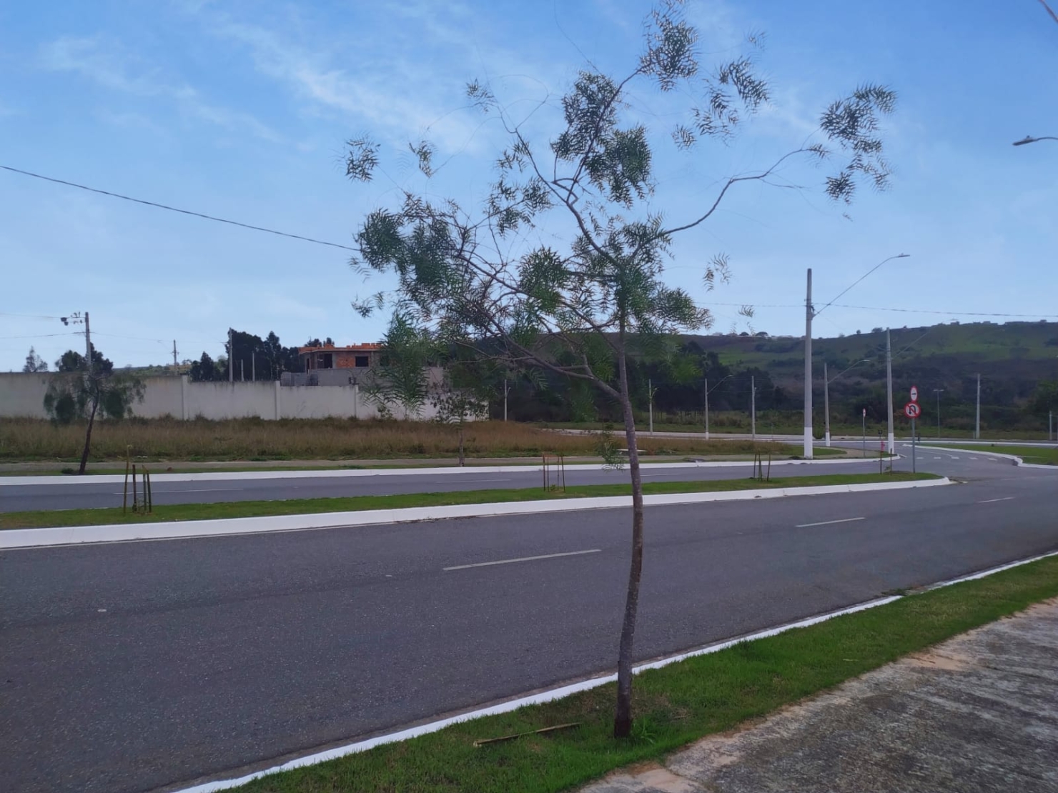 Terreno, 250 m² - Foto 3