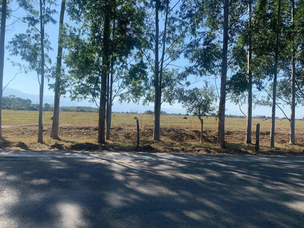 Terreno à venda, 233m² - Foto 5