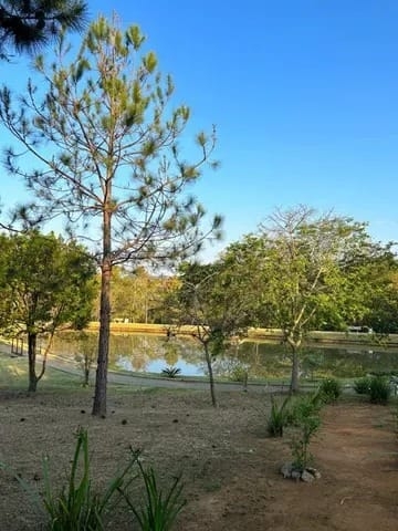 Terreno, 275 m² - Foto 9