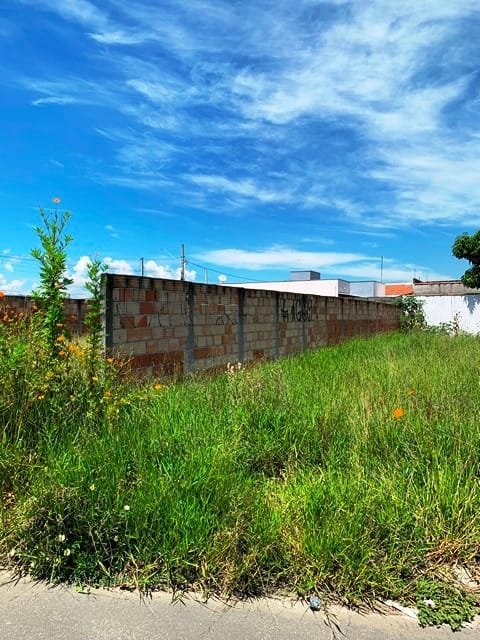 Terreno, 268 m² - Foto 11