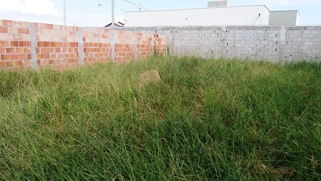 Terreno, 268 m² - Foto 14