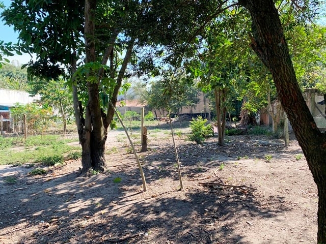 Terreno à venda com 2 quartos, 1240m² - Foto 1