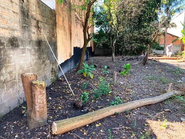 Terreno à venda com 2 quartos, 1240m² - Foto 2