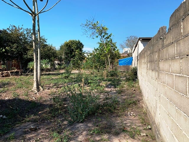 Terreno à venda com 2 quartos, 1240m² - Foto 4