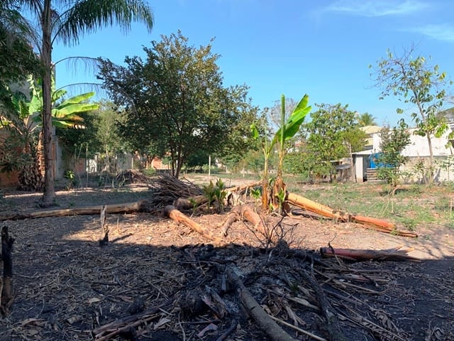 Terreno à venda com 2 quartos, 1240m² - Foto 5