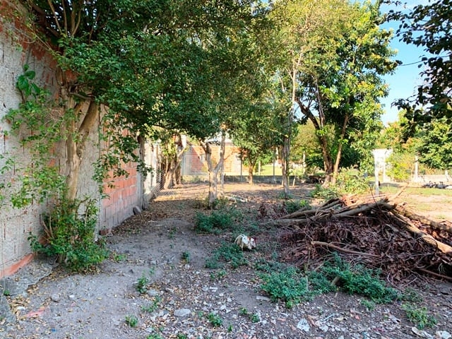 Terreno à venda com 2 quartos, 1240m² - Foto 7