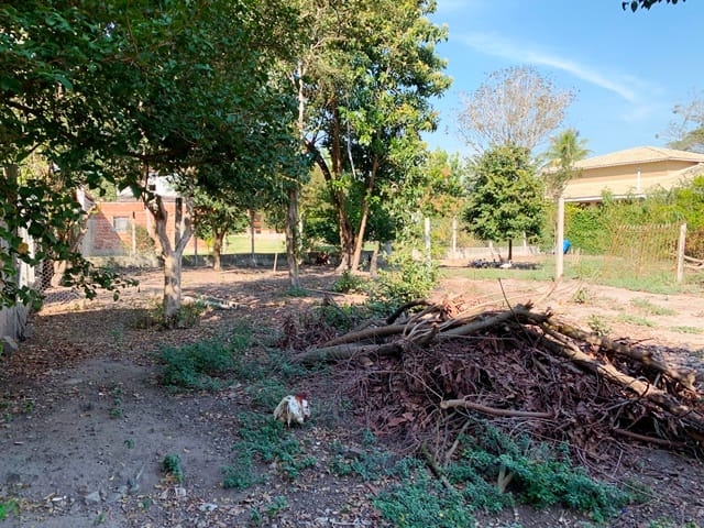 Terreno à venda com 2 quartos, 1240m² - Foto 8