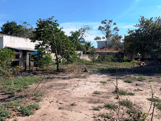 Terreno à venda com 2 quartos, 1240m² - Foto 9