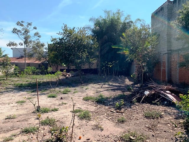 Terreno à venda com 2 quartos, 1240m² - Foto 11