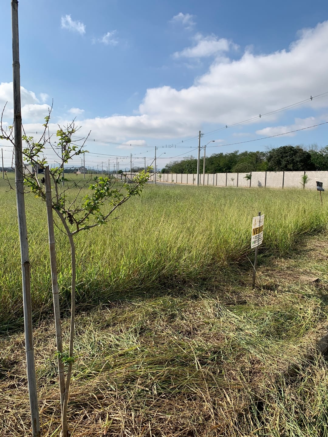 Terreno, 175 m² - Foto 8