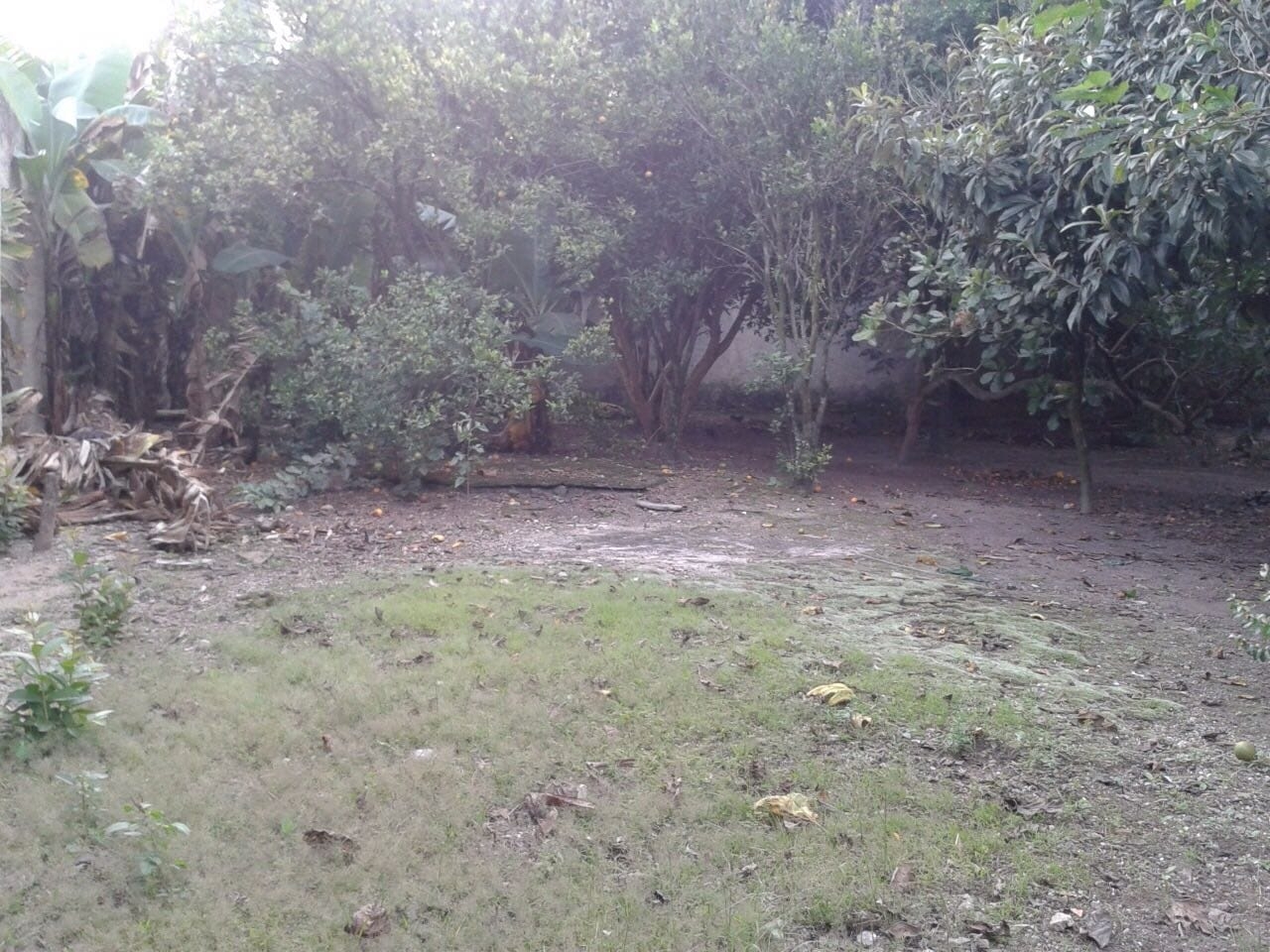 Terreno à venda, 885m² - Foto 6