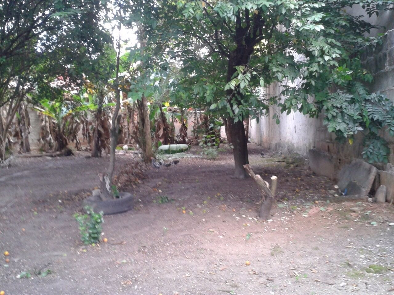 Terreno à venda, 885m² - Foto 11