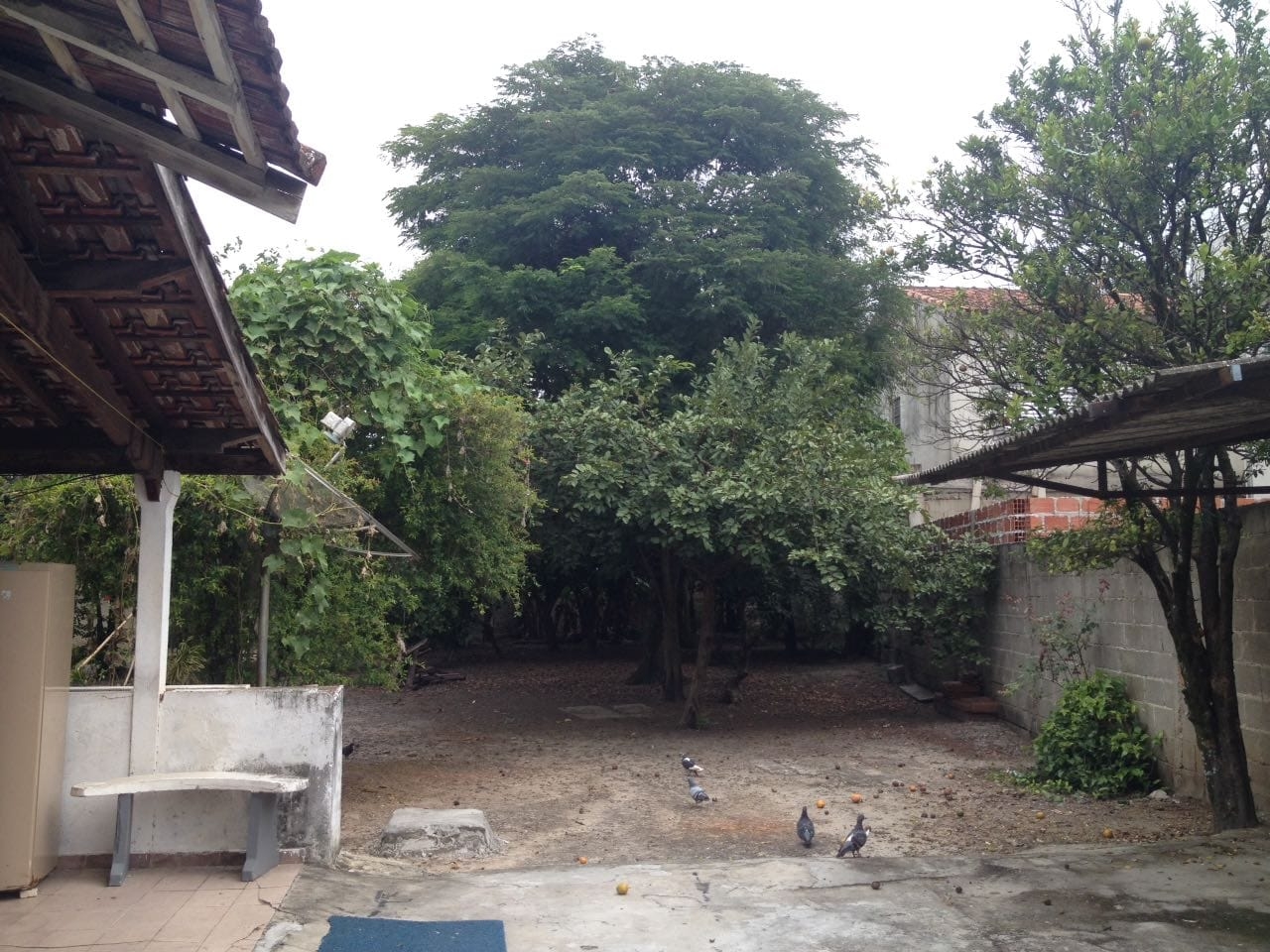 Terreno à venda, 885m² - Foto 14