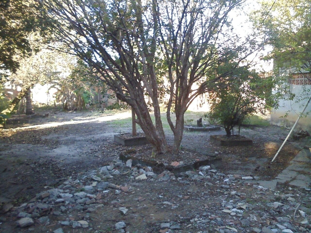 Terreno à venda com 2 quartos, 1700m² - Foto 5