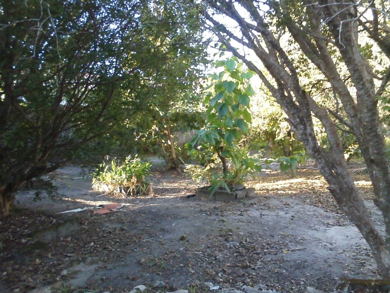 Terreno à venda com 2 quartos, 1700m² - Foto 7