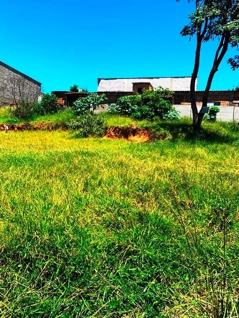 Terreno, 207 m² - Foto 1