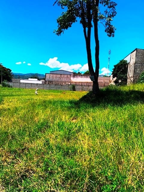 Terreno, 207 m² - Foto 3