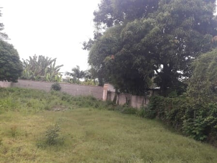 Terreno, 677 m² - Foto 8