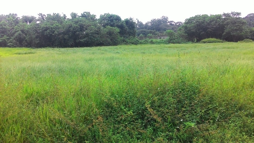 Terreno à venda, 296m² - Foto 2