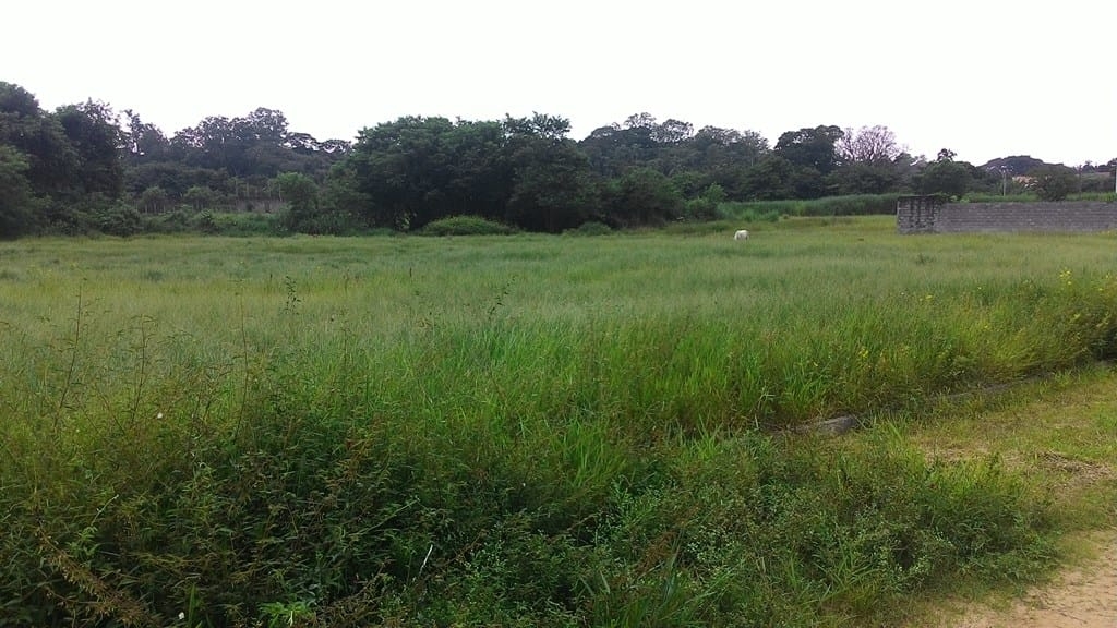 Terreno à venda, 296m² - Foto 4