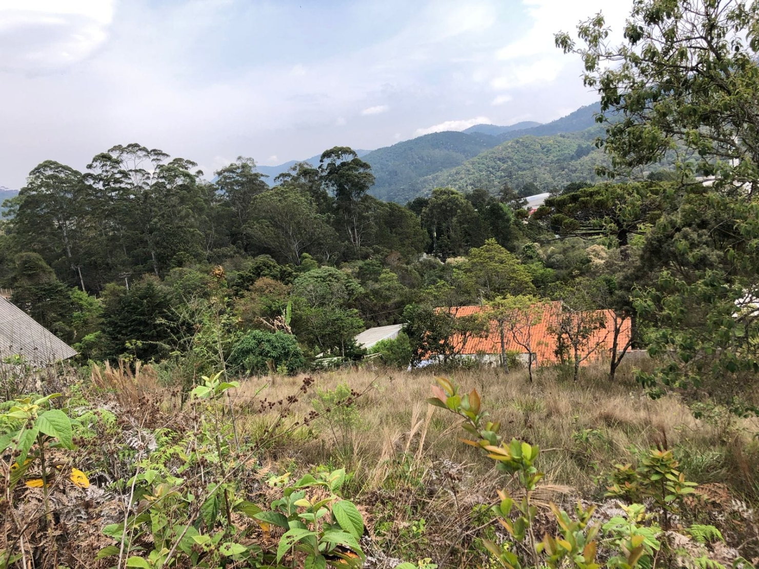 Terreno, 1150 m² - Foto 2