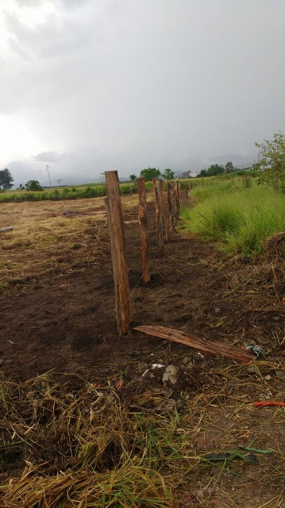 Terreno à venda, 1000m² - Foto 1